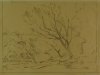 1930-1940 ca. Paesaggio con albero a destra